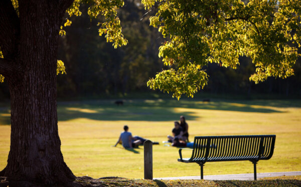 The Importance of Superannuation