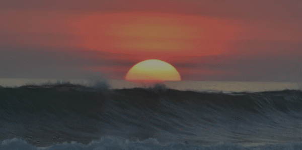 This Month’s Wrap: July